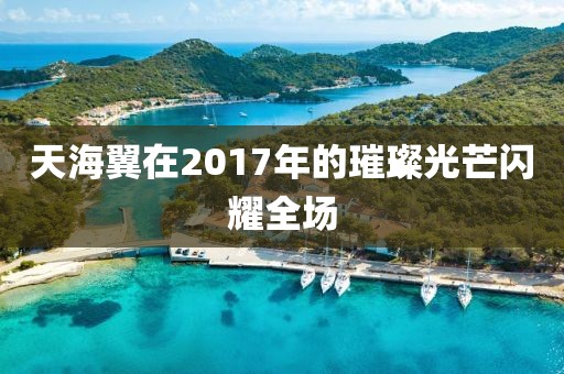 天海翼在2017年的璀璨光芒闪耀全场