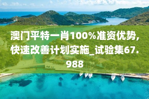 澳门平特一肖100%准资优势,快速改善计划实施_试验集67.988