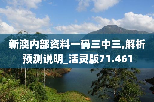 新澳内部资料一码三中三,解析预测说明_活灵版71.461