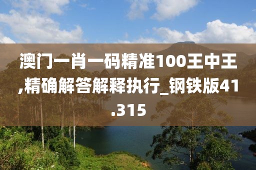 澳门一肖一码精准100王中王,精确解答解释执行_钢铁版41.315