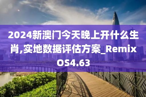 2024新澳门今天晚上开什么生肖,实地数据评估方案_RemixOS4.63