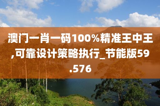 澳门一肖一码100%精准王中王,可靠设计策略执行_节能版59.576