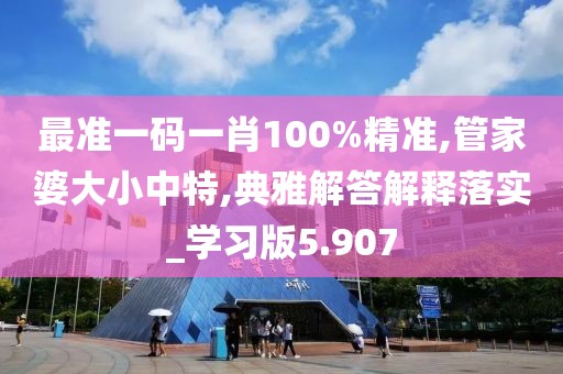 最准一码一肖100%精准,管家婆大小中特,典雅解答解释落实_学习版5.907