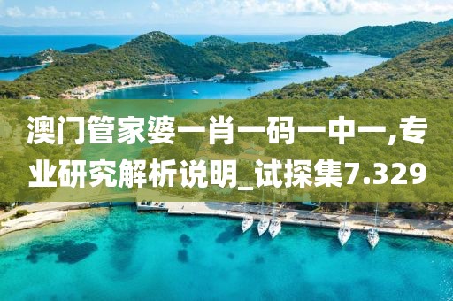 澳门管家婆一肖一码一中一,专业研究解析说明_试探集7.329