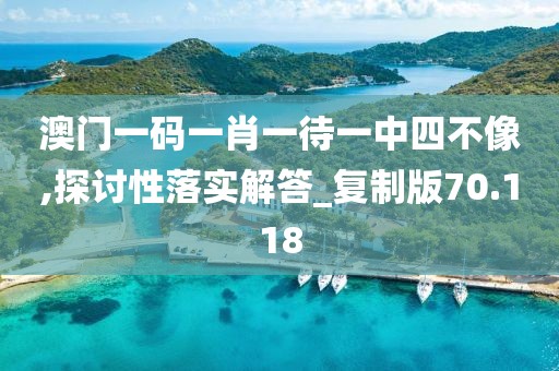 澳门一码一肖一待一中四不像,探讨性落实解答_复制版70.118