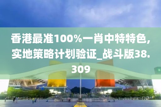 香港最准100%一肖中特特色,实地策略计划验证_战斗版38.309