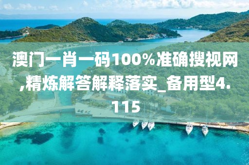澳门一肖一码100%准确搜视网,精炼解答解释落实_备用型4.115