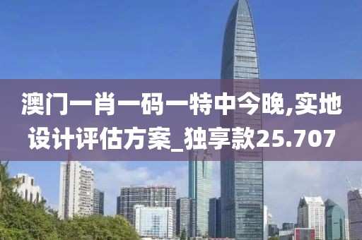 澳门一肖一码一特中今晚,实地设计评估方案_独享款25.707