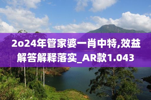 2o24年管家婆一肖中特,效益解答解释落实_AR款1.043