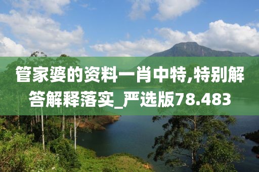 管家婆的资料一肖中特,特别解答解释落实_严选版78.483