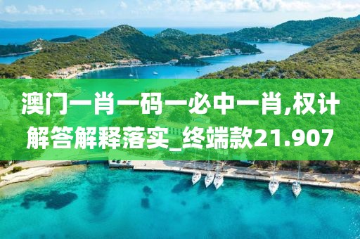 澳门一肖一码一必中一肖,权计解答解释落实_终端款21.907