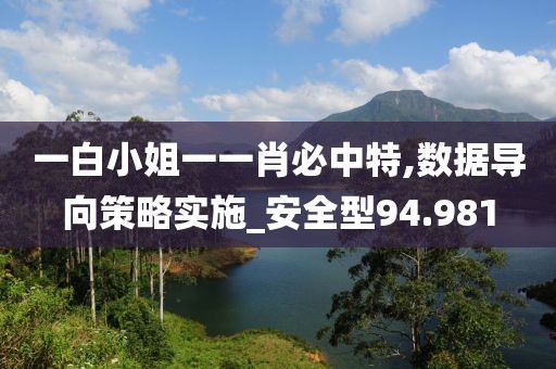 一白小姐一一肖必中特,数据导向策略实施_安全型94.981