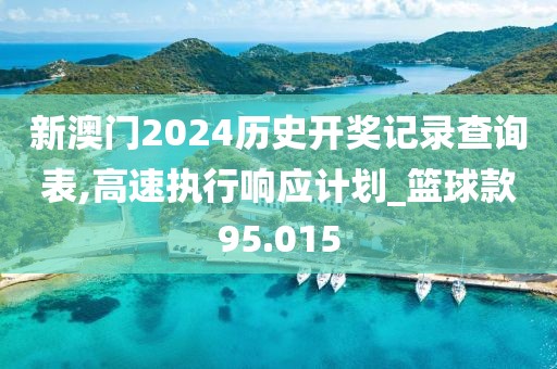 新澳门2024历史开奖记录查询表,高速执行响应计划_篮球款95.015