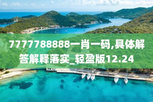 7777788888一肖一码,具体解答解释落实_轻盈版12.24