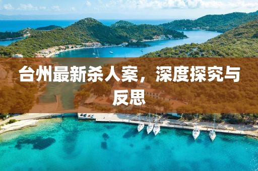 台州最新杀人案，深度探究与反思