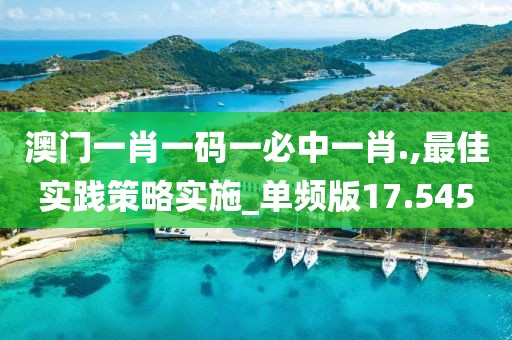 澳门一肖一码一必中一肖.,最佳实践策略实施_单频版17.545