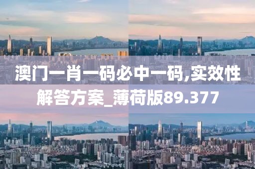澳门一肖一码必中一码,实效性解答方案_薄荷版89.377