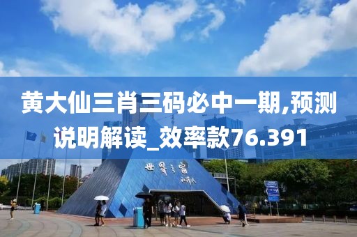 黄大仙三肖三码必中一期,预测说明解读_效率款76.391