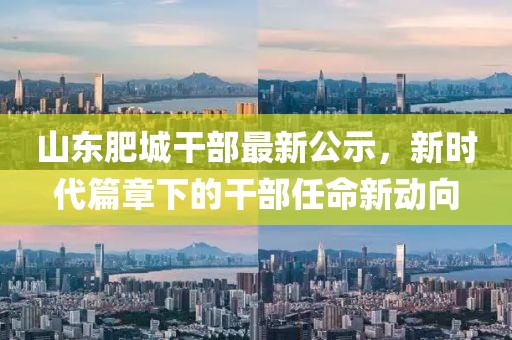 山东肥城干部最新公示，新时代篇章下的干部任命新动向