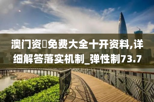 澳门资枓免费大全十开资料,详细解答落实机制_弹性制73.7