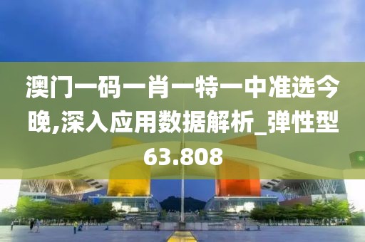 澳门一码一肖一特一中准选今晚,深入应用数据解析_弹性型63.808