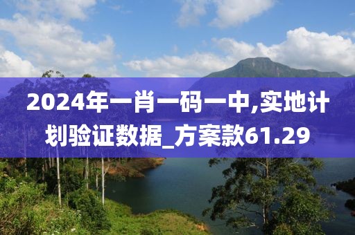 2024年一肖一码一中,实地计划验证数据_方案款61.29