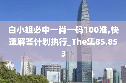 白小姐必中一肖一码100准,快速解答计划执行_The集85.853