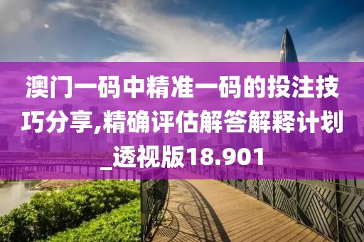 2024年11月 第2625页