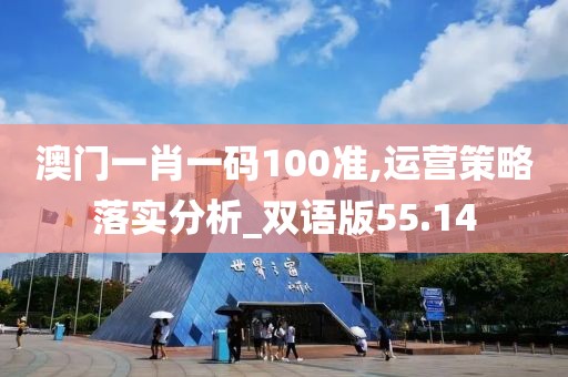 澳门一肖一码100准,运营策略落实分析_双语版55.14