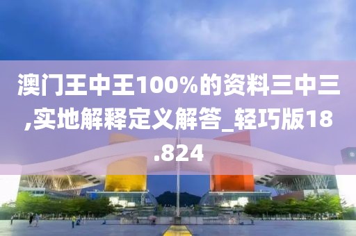 澳门王中王100%的资料三中三,实地解释定义解答_轻巧版18.824