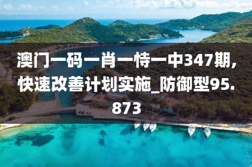 澳门一码一肖一恃一中347期,快速改善计划实施_防御型95.873