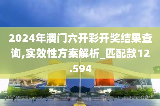 2024年澳门六开彩开奖结果查询,实效性方案解析_匹配款12.594