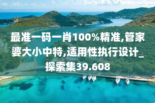 最准一码一肖100%精准,管家婆大小中特,适用性执行设计_探索集39.608