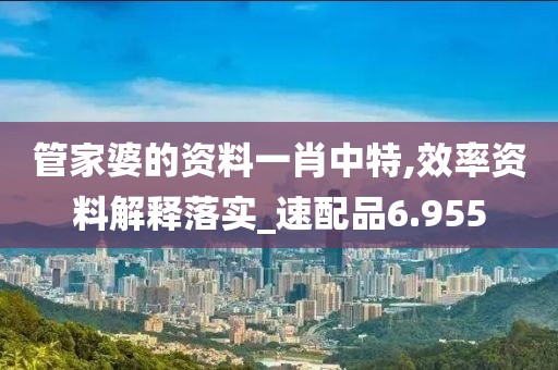 管家婆的资料一肖中特,效率资料解释落实_速配品6.955