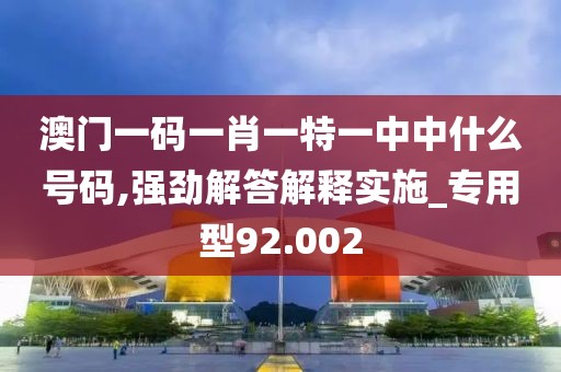 澳门一码一肖一特一中中什么号码,强劲解答解释实施_专用型92.002