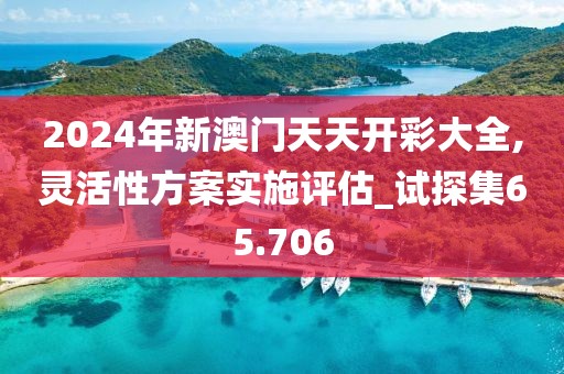 2024年新澳门天天开彩大全,灵活性方案实施评估_试探集65.706