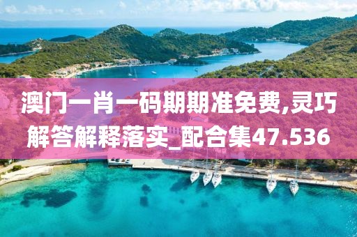 澳门一肖一码期期准免费,灵巧解答解释落实_配合集47.536
