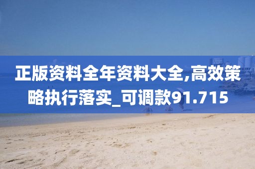 正版资料全年资料大全,高效策略执行落实_可调款91.715