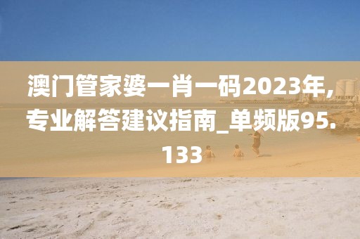 澳门管家婆一肖一码2023年,专业解答建议指南_单频版95.133