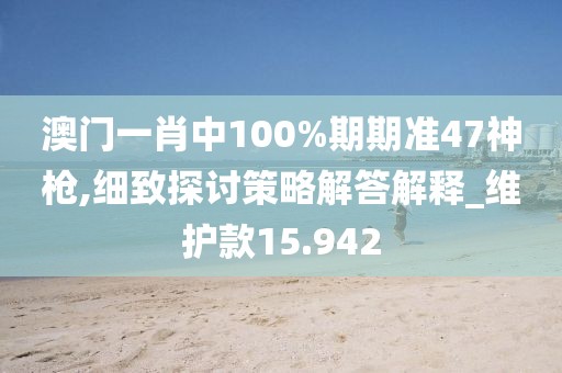澳门一肖中100%期期准47神枪,细致探讨策略解答解释_维护款15.942