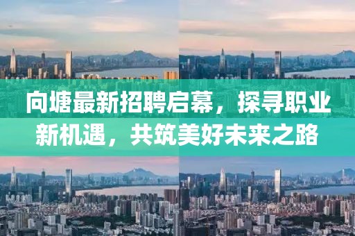 向塘最新招聘启幕，探寻职业新机遇，共筑美好未来之路