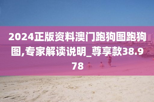 2024正版资料澳门跑狗图跑狗图,专家解读说明_尊享款38.978