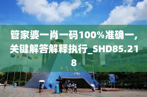 管家婆一肖一码100%准确一,关键解答解释执行_SHD85.218