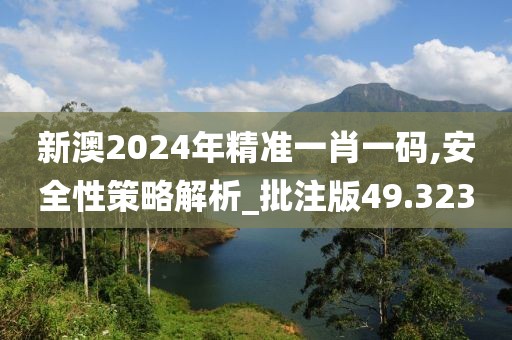2024年11月 第2592页