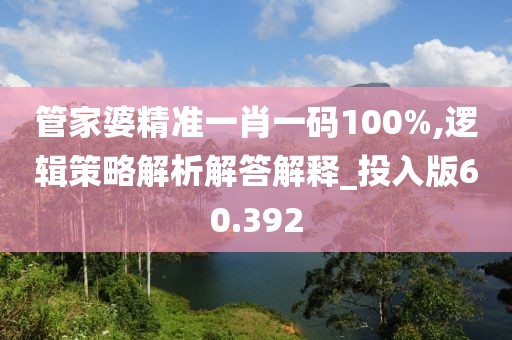 管家婆精准一肖一码100%,逻辑策略解析解答解释_投入版60.392