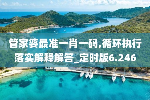 管家婆最准一肖一码,循环执行落实解释解答_定时版6.246