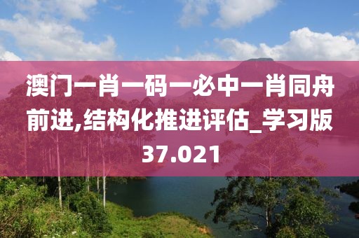 澳门一肖一码一必中一肖同舟前进,结构化推进评估_学习版37.021