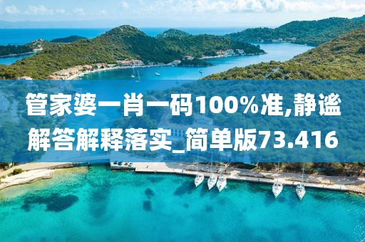 管家婆一肖一码100%准,静谧解答解释落实_简单版73.416