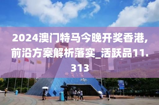 2024澳门特马今晚开奖香港,前沿方案解析落实_活跃品11.313