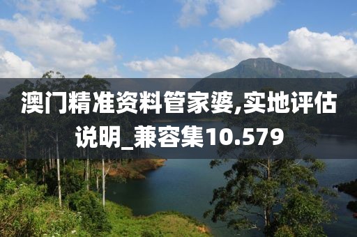 澳门精准资料管家婆,实地评估说明_兼容集10.579